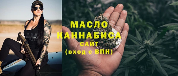 индика Арсеньев