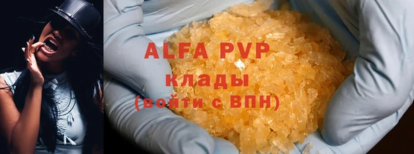 индика Арсеньев