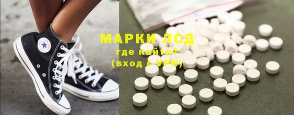 индика Арсеньев