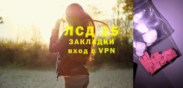 индика Арсеньев