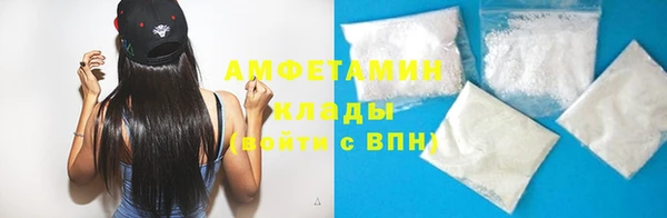 индика Арсеньев