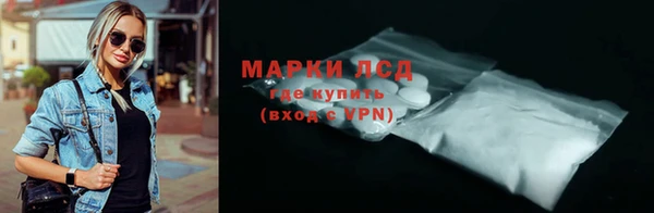 индика Арсеньев