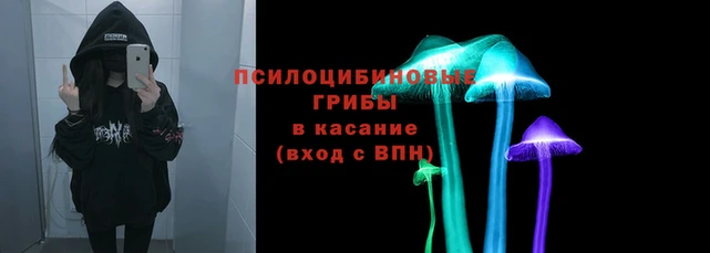 индика Арсеньев