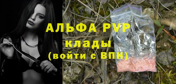 индика Арсеньев