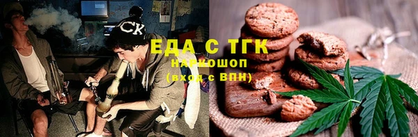 индика Арсеньев