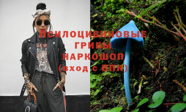 индика Арсеньев