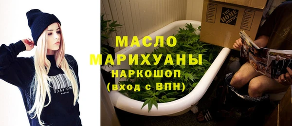 индика Арсеньев