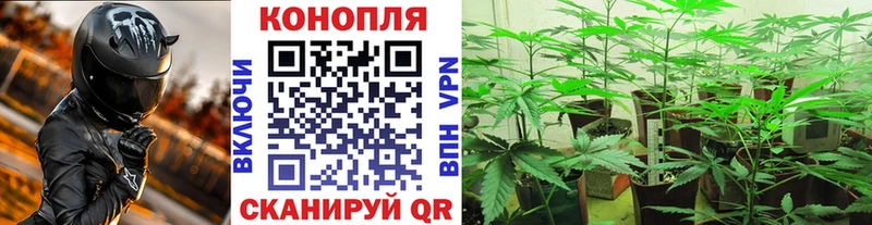 Бошки Шишки Bruce Banner  Армянск 